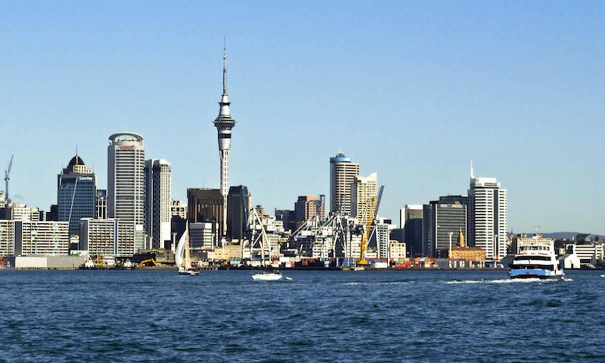 Best Consultancy for New Zealand